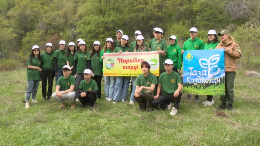 Түрген шатқалына ағаш көшеттері егілді