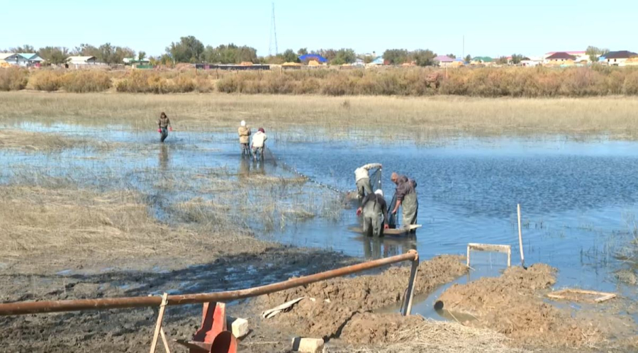 В селе Басыкара восстанавливают рыбопитомник