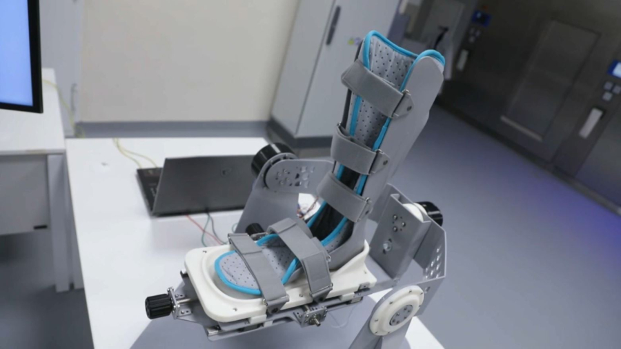 NU Биомедициналық зерттеу орталығында виварий ашылды