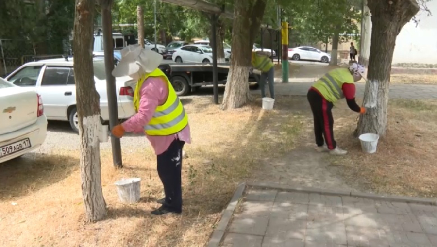 Детские площадки благоустраивают в Шымкенте
