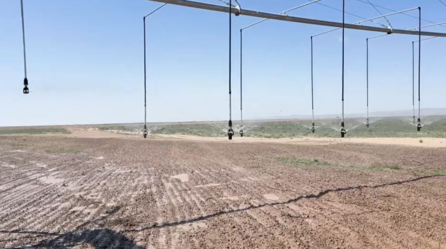 Жетісу облысында су үнемдеу технологиясы енгізіледі