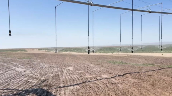 Жетісу облысында су үнемдеу технологиясы енгізіледі