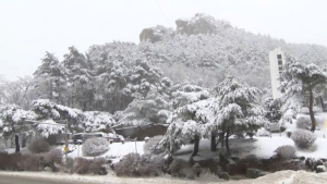 30 сантиметров снега выпало в ряде провинций Южной Кореи