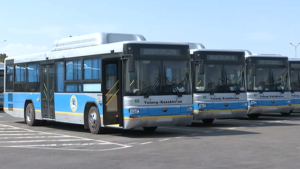 Алматыда автобус тапшылығы байқалады