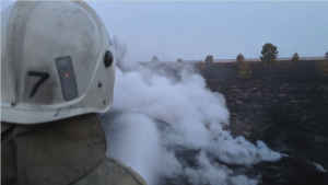 Лесной пожар потушили в Павлодарской области