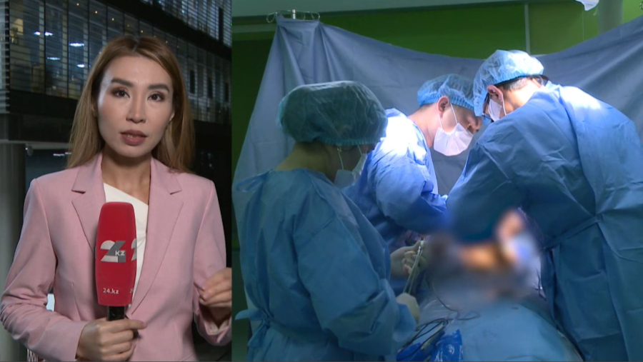 Елде трансплантация жүйесі жетілдіріледі