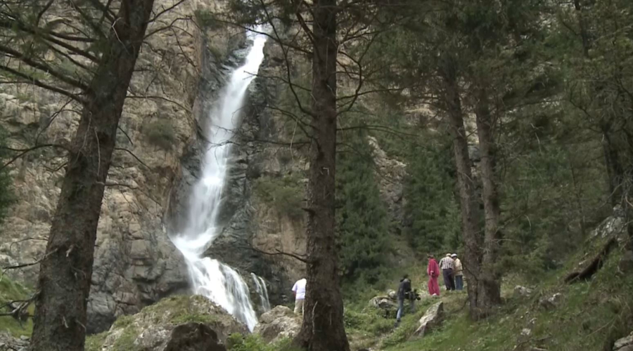 Жетісу облысында 14 инвестициялық жоба жүзеге асады