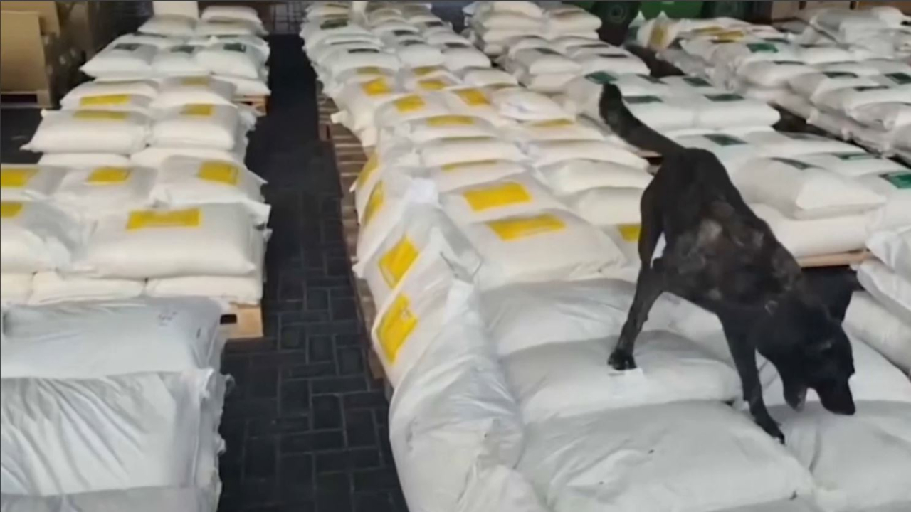 Колумбияда 7,6 тонна кокаин тәркіленді