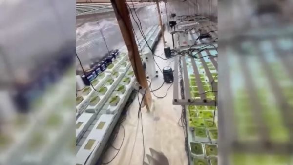 Три нарколаборатории ликвидировали в Алматинской области