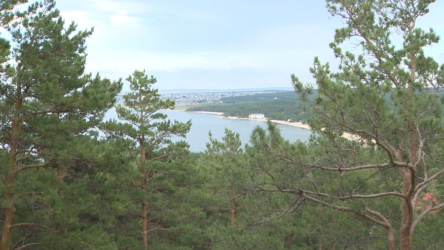 Орман өртіне қарсы күреске 17 млрд теңге бөлінді