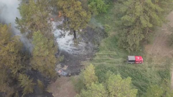 Абай облысындағы орман өрті оқшауланды