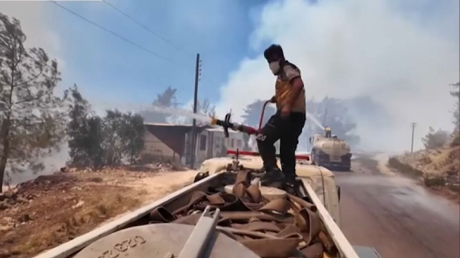 Сирияда орман өртеніп жатыр