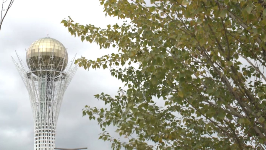 Сенат ЖИ туралы заңды Мәжіліске қайтарды