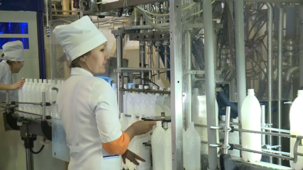 Ақтөбе облысында сүтті мал шаруашылығына қолдау болады