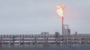 Ввести дифференцированные тарифы на газ предложил Глава государства