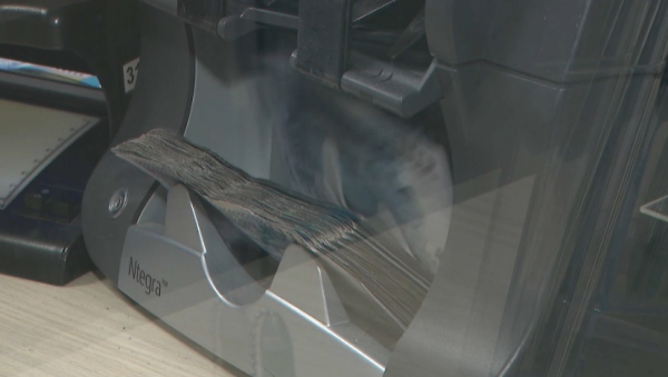 Свыше 200 млн тенге налогов заплатили казахстанские блогеры