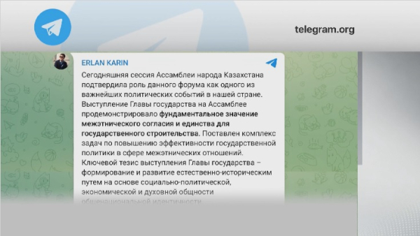 Госсоветник Карин о выступлении Президента на сессии АНК