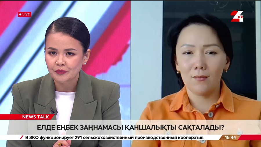 Елде еңбек заңнамасы қаншалықты сақталады? Бибігүл Ағыбаева