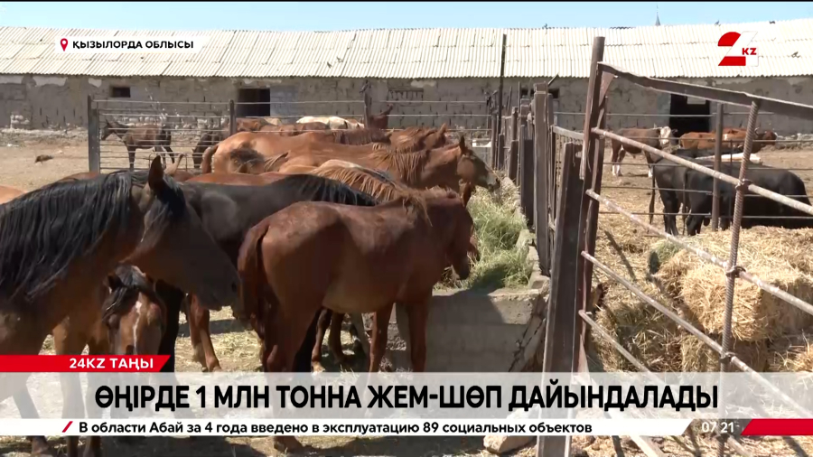 Қызылорда облысында 1 млн жем-шөп дайындалады