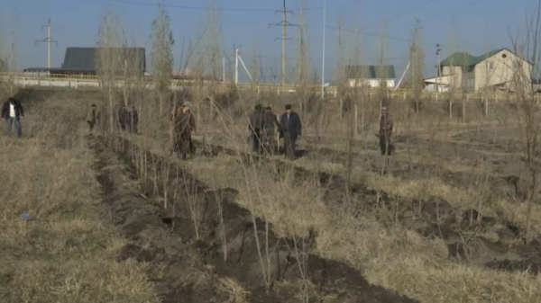 ТЭЦ №3 в Алматинской области переведут с угля на газ