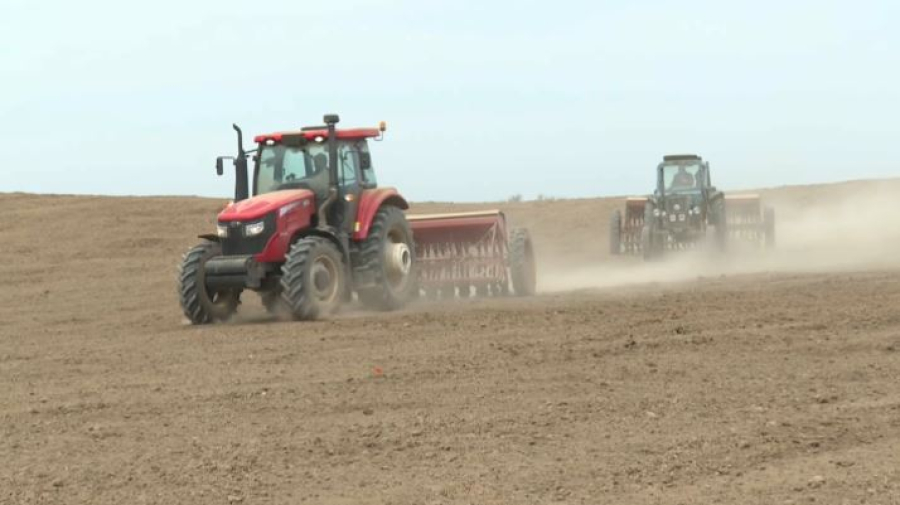 Посевную кампанию завершают в Шымкенте