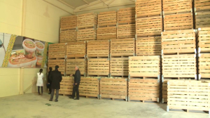 СПК сформировали 180 тыс. тонн запасов овощей