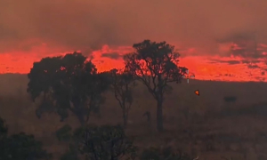 Борьба с лесными пожарами продолжается в Австралии