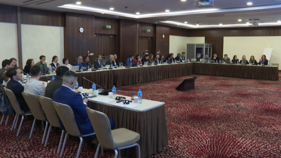 Внедрение системы климатической отчетности обсудили в Астане