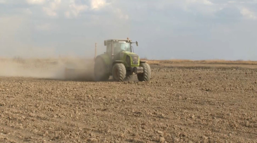 Қызылорда облысында егіндік жер құнарсызданып барады