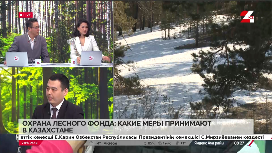 Охрана лесного фонда: какие меры принимают в Казахстане. Азамат Абуов