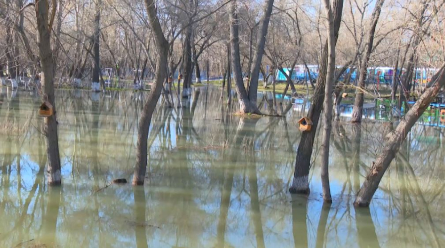 «Тропу здоровья» подтопило после сброса воды на ГЭС в Семее