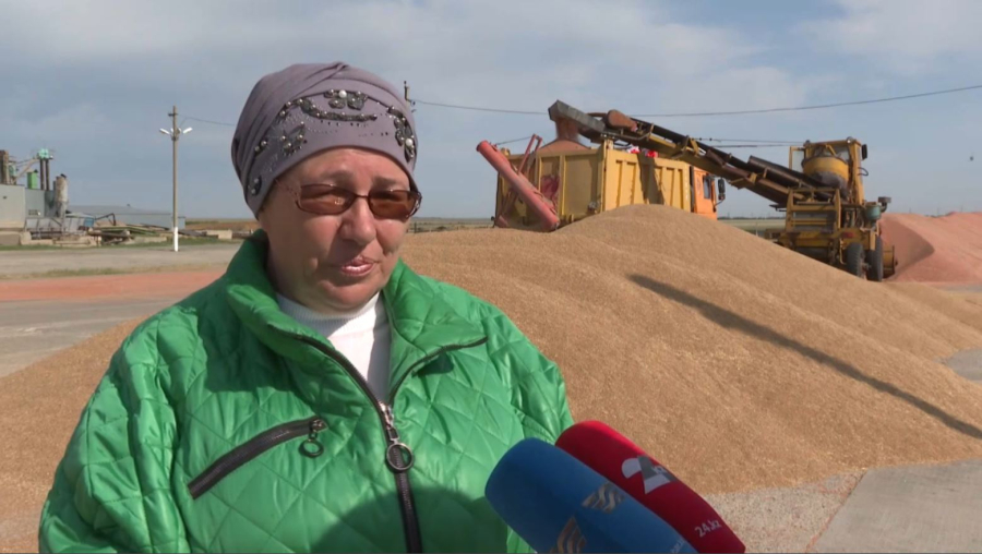 Ақмолада ауыл шаруашылығы саласында еңбек ететін әйелдер қатары артып келеді