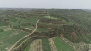 Китай активно озеленяет собственные территории