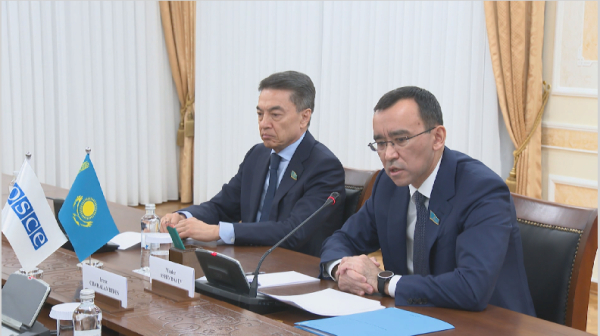 Председатель Сената встретился с наблюдателями ОБСЕ