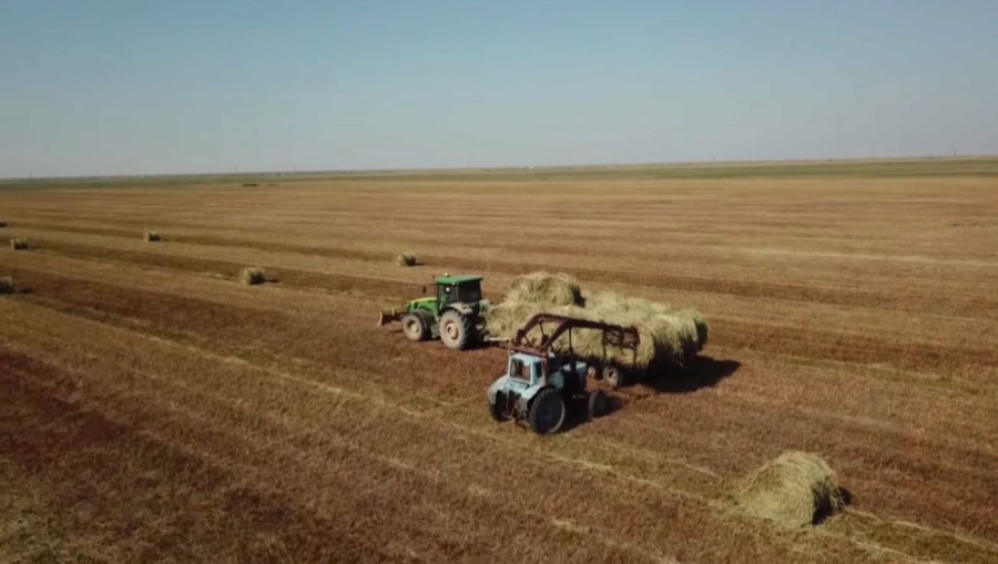 Фермерам Атырауской области задолжали субсидии