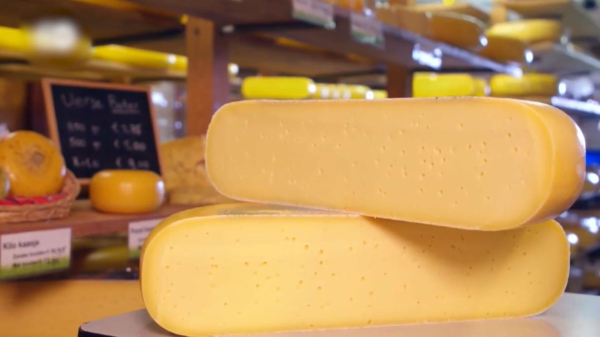 Нидерланд ірімшік өндіруден рекорд жасады