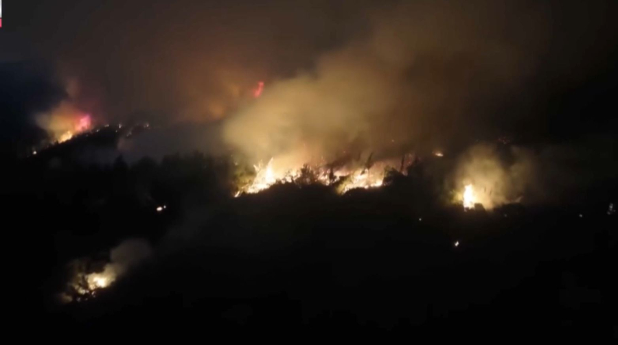 Түркияда орман өртіне байланысты 17 адам қамауға алынды