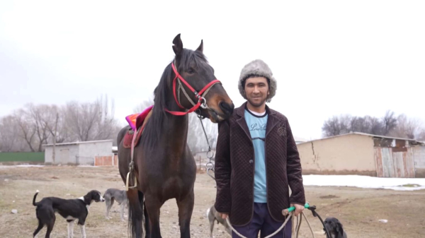 Казахские охотничьи традиции возрождают в Туркестанской области