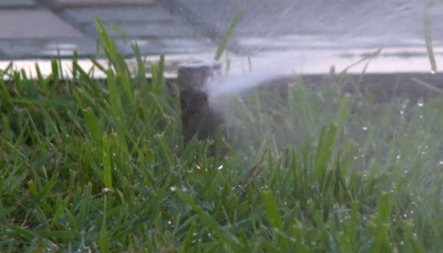 Систему автополива внедрили в Кызылорде