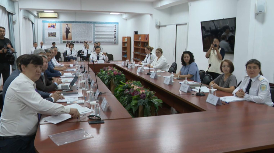 Алматыда «Болашақ ұрпақ үшін қауіпсіз жол» конференциясы өтті