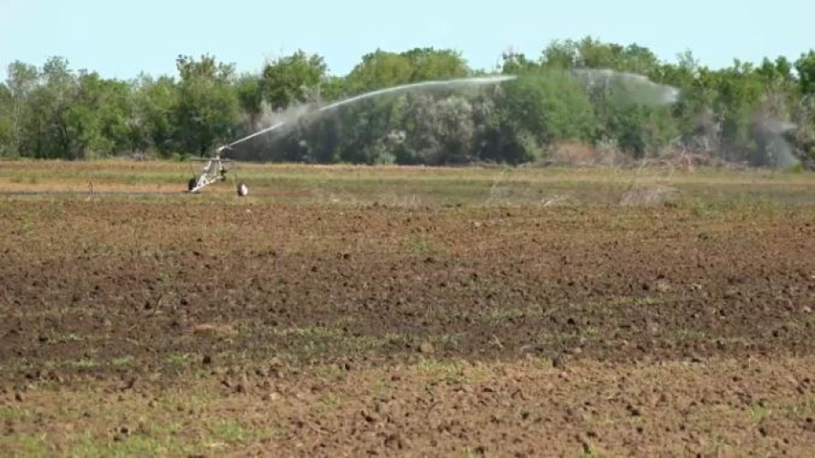 Поливной сезон завершился в Казахстане