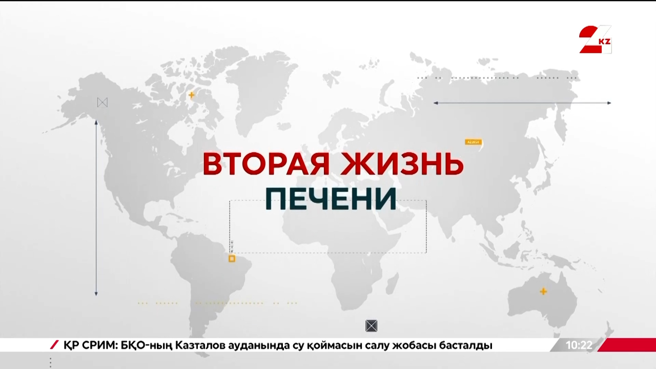 Вторая жизнь печени