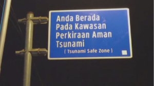 Угроза цунами ожидается после землетрясения в Индонезии