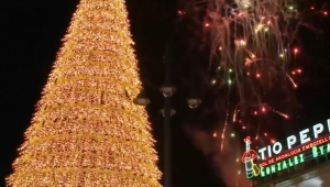 12 млн огней украсили рождественскую ель в Мадриде