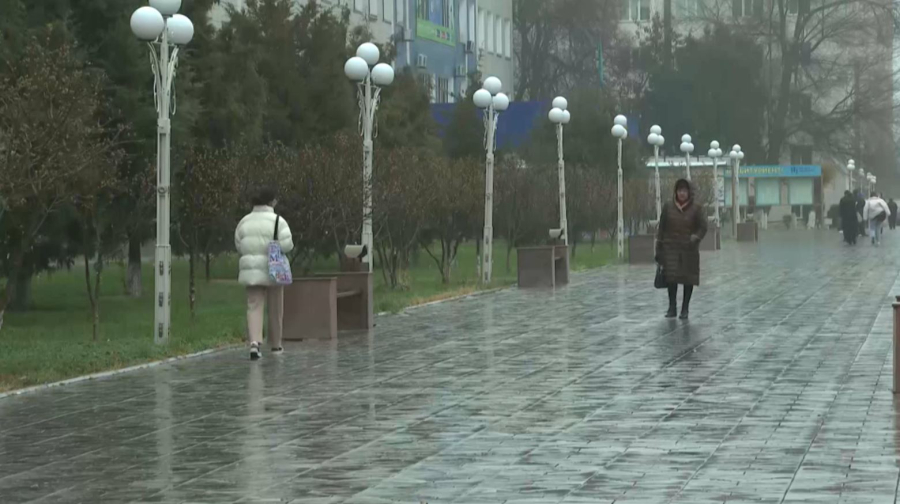 Снег, туман и дожди прогнозируют в Казахстане