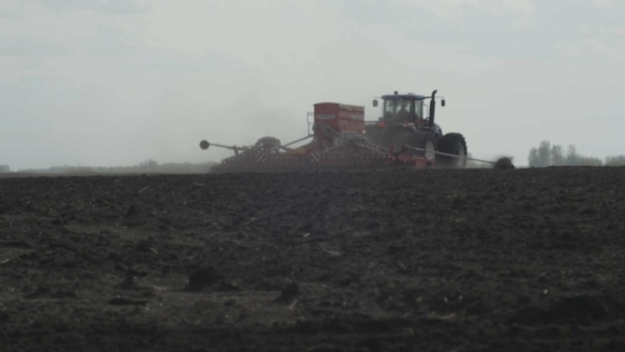 В СКО засеяли половину посевных площадей