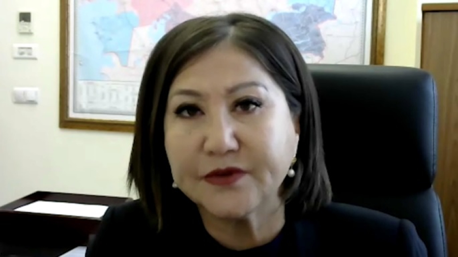 Нужны новые правила: депутат о приостановке приема заявок