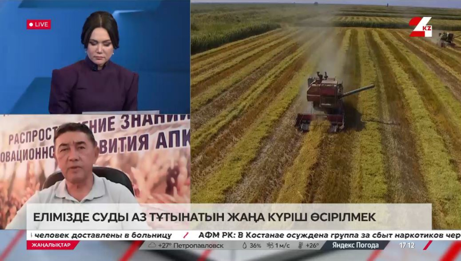 Елімізде суды аз тұтынатын жаңа күріш өсірілмек. Жанұзақ Байманов