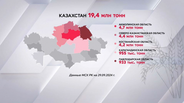 Больше 19 млн тонн зерна намолотили в Казахстане