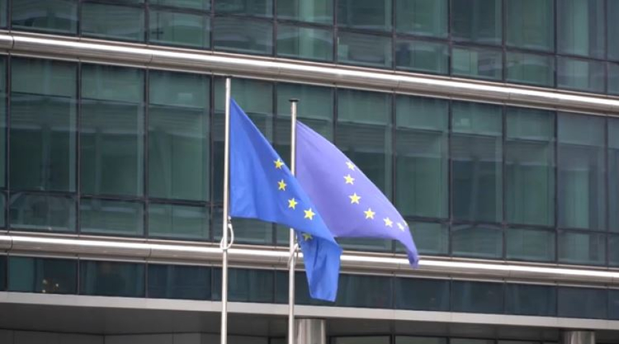 Эксперт ЕС о проекте новой Конституции